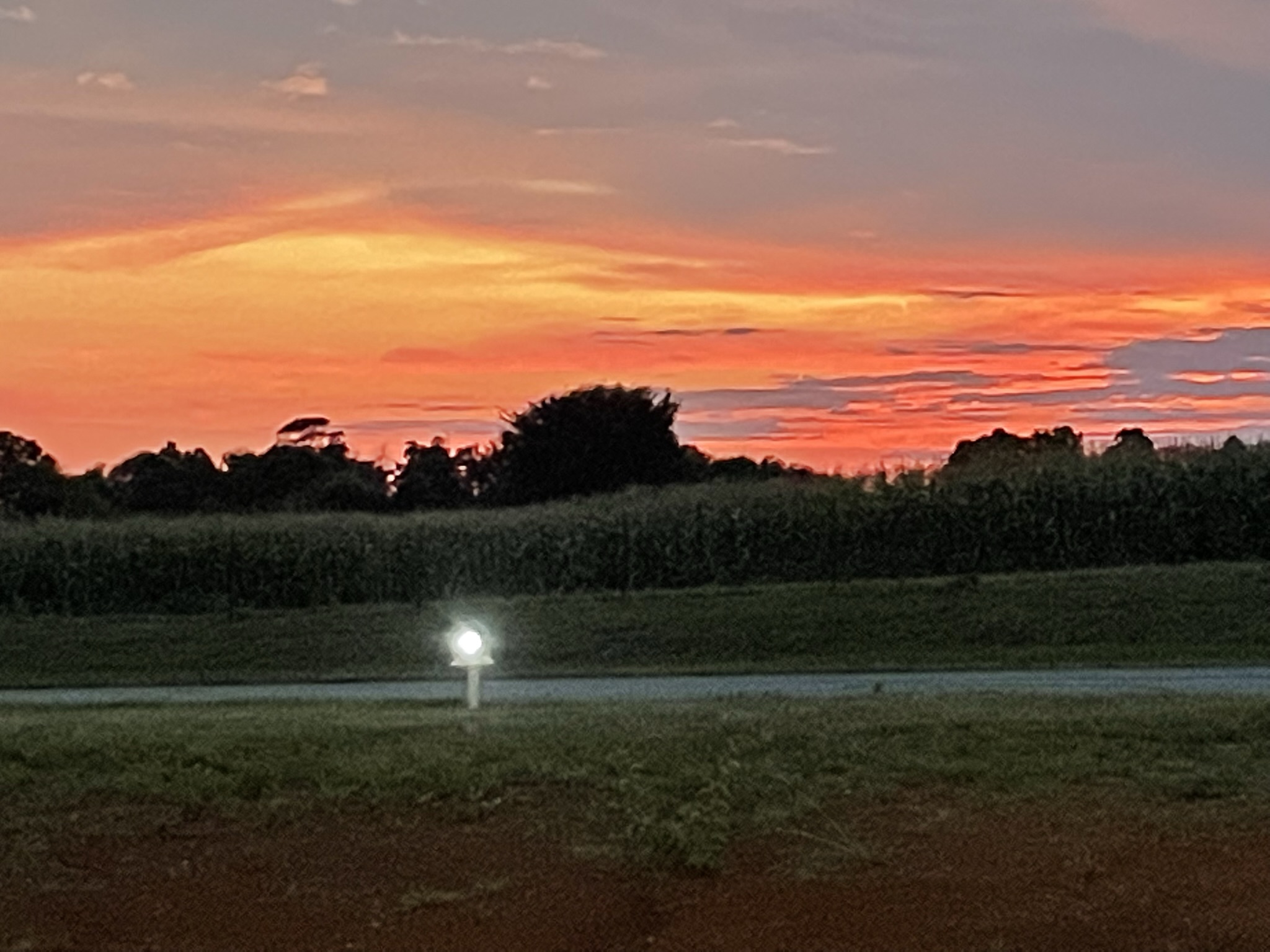 64FFA279-FCF8-439F-A729-FD1D313E37B0.jpeg