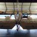 IMG_7876_list.jpeg