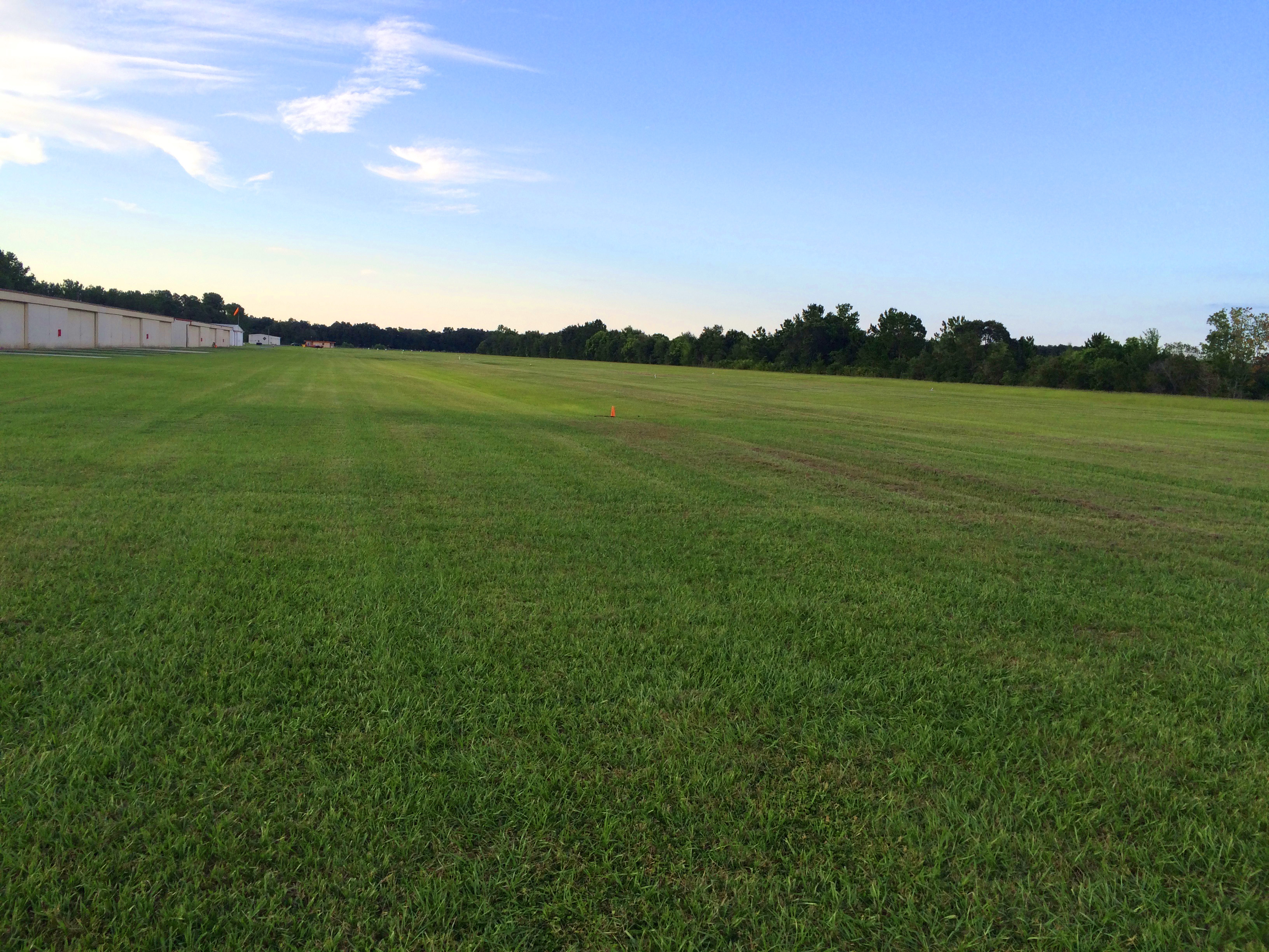 Grass_Runway_with_hangars.jpg
